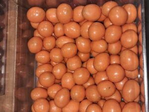 graos emporio do jabuti (5)